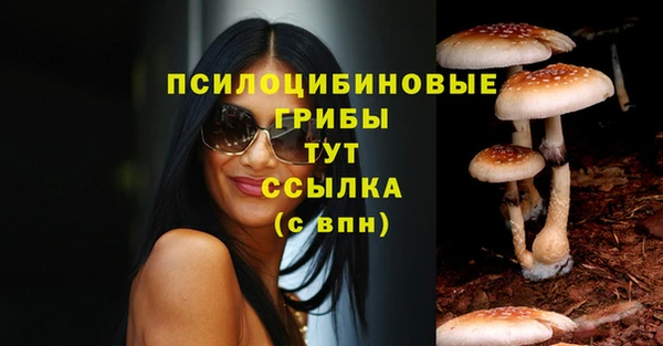 стафф Володарск