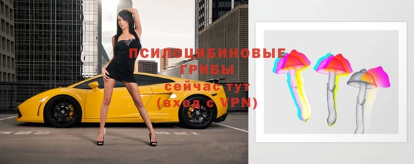 стафф Володарск