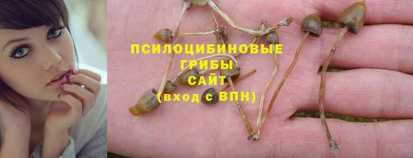 стафф Володарск