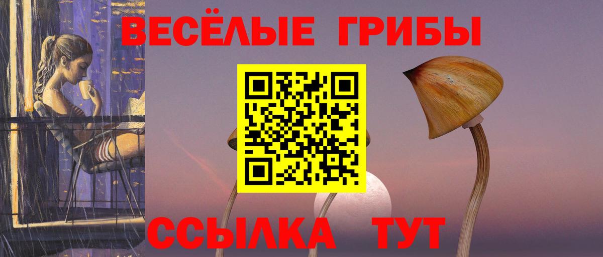 Псилоцибиновые грибы Cubensis Димитровград